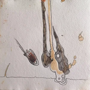 Estudio de Manchas y Vacío Estudio de Manchas y Vacío - Imagen del producto